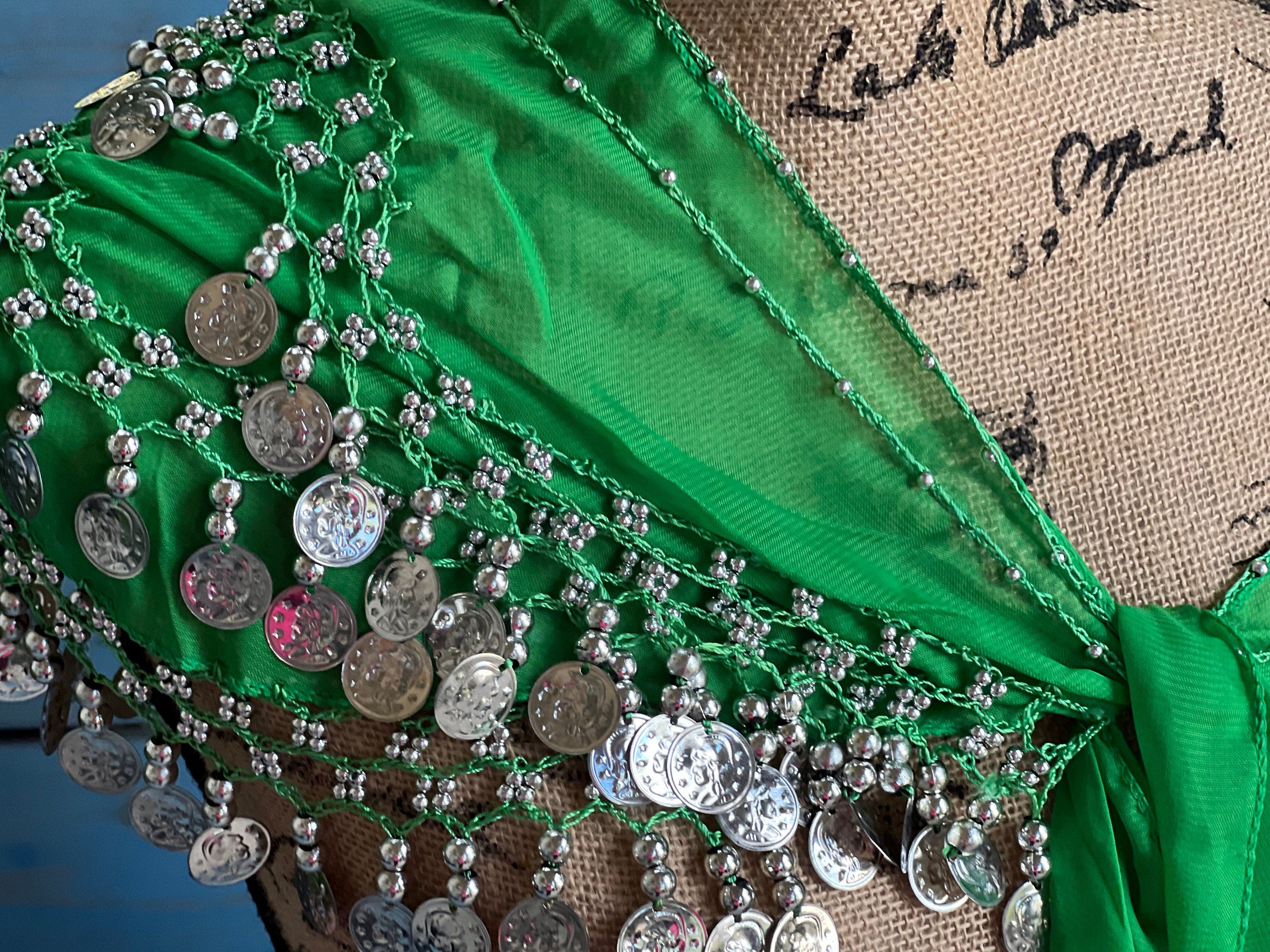 Green Tassel Hip Scarf, Belly Dance Belt Performance Skirt. Belly Dance Hip Scarf Skirt Waist Chance Dance Belt Festival Clothing