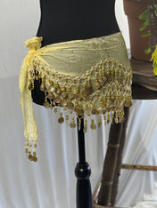 Light yellow Tassel Hip Scarf, Belly Dance Belt Performance Skirt. Belly Dance Hip Scarf Skirt Waist Chance Dance Belt Festival Clothing