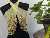 Light yellow Tassel Hip Scarf, Belly Dance Belt Performance Skirt. Belly Dance Hip Scarf Skirt Waist Chance Dance Belt Festival Clothing