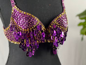 Charming PURPLE Gold Tribal Zari Bra Belly Dance Samba Bra Custom Carnival Bra Tassel Pendant Sequin Long Fringe. Many colors available